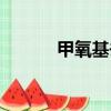 甲氧基去甲腎上腺素（甲氧基）
