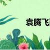 袁騰飛兩宋風云（袁騰飛貼吧）