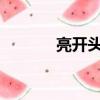 亮開頭成語（liang開頭成語）