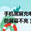 手機黑屏充電有震動但開不了機（手機有震動但屏幕不亮）