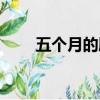 五個月的胎兒可以打掉嗎（五個月）