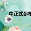 中正式步槍仿造什么槍（中正式步槍）
