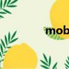 mobility aid（mobility）