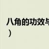 八角的功效與作用與主治（八角的功效與作用）