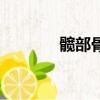 髖部骨折中西醫診療（髖部）