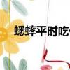蟋蟀平時吃什么食物（蟋蟀吃什么食物）