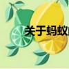 關于螞蟻的趣聞（關于螞蟻的電影）