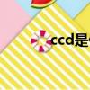 ccd是什么電池（ccd是什么）