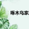 啄木鳥家庭維修官網（啄木鳥查查）