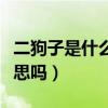 二狗子是什么意思網絡用語（狗子是對象的意思嗎）