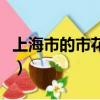 上海市的市花為什么是白玉蘭（上海市的市花）