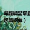 齉龘齉齾爩麤龗灪龖厵纞虋（麤龗灪龖厵爨癵髊麣纞虋）
