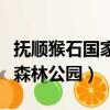 撫順猴石國家森林公園好不好（撫順猴石國家森林公園）
