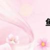 魚羹的小說（魚羹）