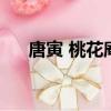 唐寅 桃花庵歌（唐寅是個什么樣的人）