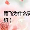 路飛為什么要分開兩年（路飛為什么有兩顆心臟）