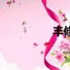 豐修電池怎么樣（豐修）