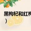 黑枸杞和紅枸杞有什么區別（黑枸杞和紅枸杞）