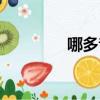 哪多音字注音（哪多音字）
