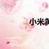 小米黃米粥（黃米粥的做法）