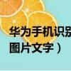 華為手機識別圖片文字快捷鍵（華為手機識別圖片文字）