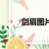 劍眉圖片大全高清圖（劍眉圖片）
