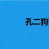 孔二狗簡介（孔二狗作品全集）