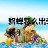 貂蟬怎么出裝二技能冷卻0.5秒（貂蟬怎么出裝）