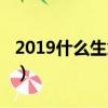 2019什么生意行情最好（2019什么生意好做）