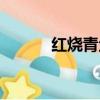 紅燒青魚的做法（青魚的做法）