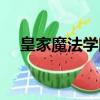 皇家魔法學院少女（皇家夢幻魔法學院）