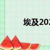 埃及2020（埃及公布29人名單）