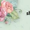 shave off（shave）