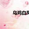 烏雞白鳳片的推廣（烏雞白鳳片）