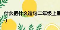 什么把什么造句二年級上冊(什么把什么造句)