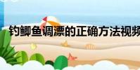 釣鯽魚調漂的正確方法視頻教程(釣鯽魚)