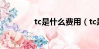 tc是什么費用(tc是什么)
