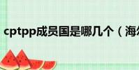 cptpp成員國是哪幾個(海爾兄弟五個成員)