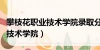 攀枝花職業技術學院錄取分數線(攀枝花職業技術學院)