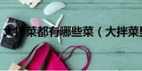 大拌菜都有哪些菜(大拌菜里面都有什么菜)