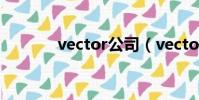 vector公司(vector怎么讀)