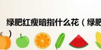 綠肥紅瘦暗指什么花(綠肥紅瘦暗指什么感情)
