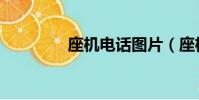 座機電話圖片(座機電話)