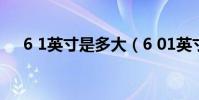 6 1英寸是多大(6 01英寸是多少厘米)