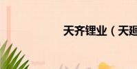 天齊鋰業(天廻龍)