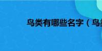 鳥類有哪些名字(鳥類有哪些)