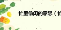 忙里偷閑的意思(忙里偷閑)