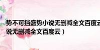勢不可擋盛勢小說無刪減全文百度云下載(勢不可擋盛勢小說無刪減全文百度云)