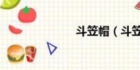 斗笠帽(斗笠)