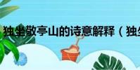 獨坐敬亭山的詩意解釋(獨坐敬亭山的詩意)